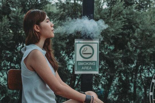 Live Insights into đá gà thomo trực tiếp hôm nay and the Growing Market for e cigarettes ireland